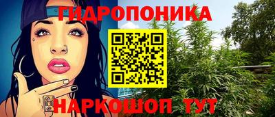 гашик Пыть-Ях