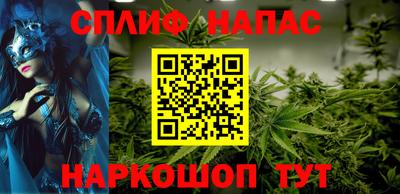гашик Пыть-Ях
