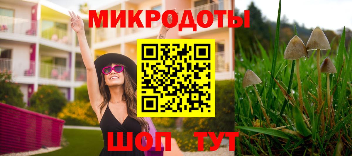 Псилоцибиновые грибы Psilocybe Обнинск