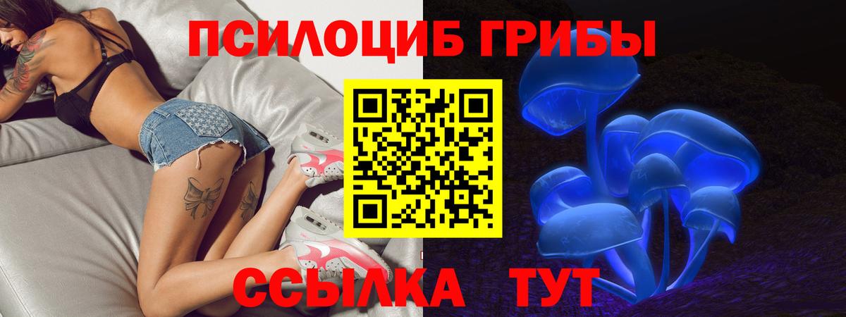 Обнинск  где найти   Вход с VPN  Псилоцибиновые грибы GOLDEN TEACHER 
